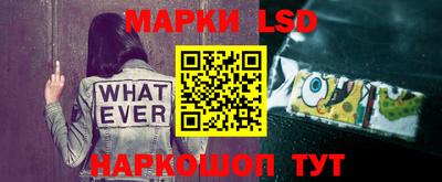 меф Краснознаменск
