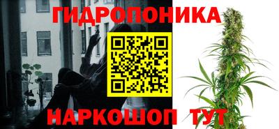 меф Краснознаменск
